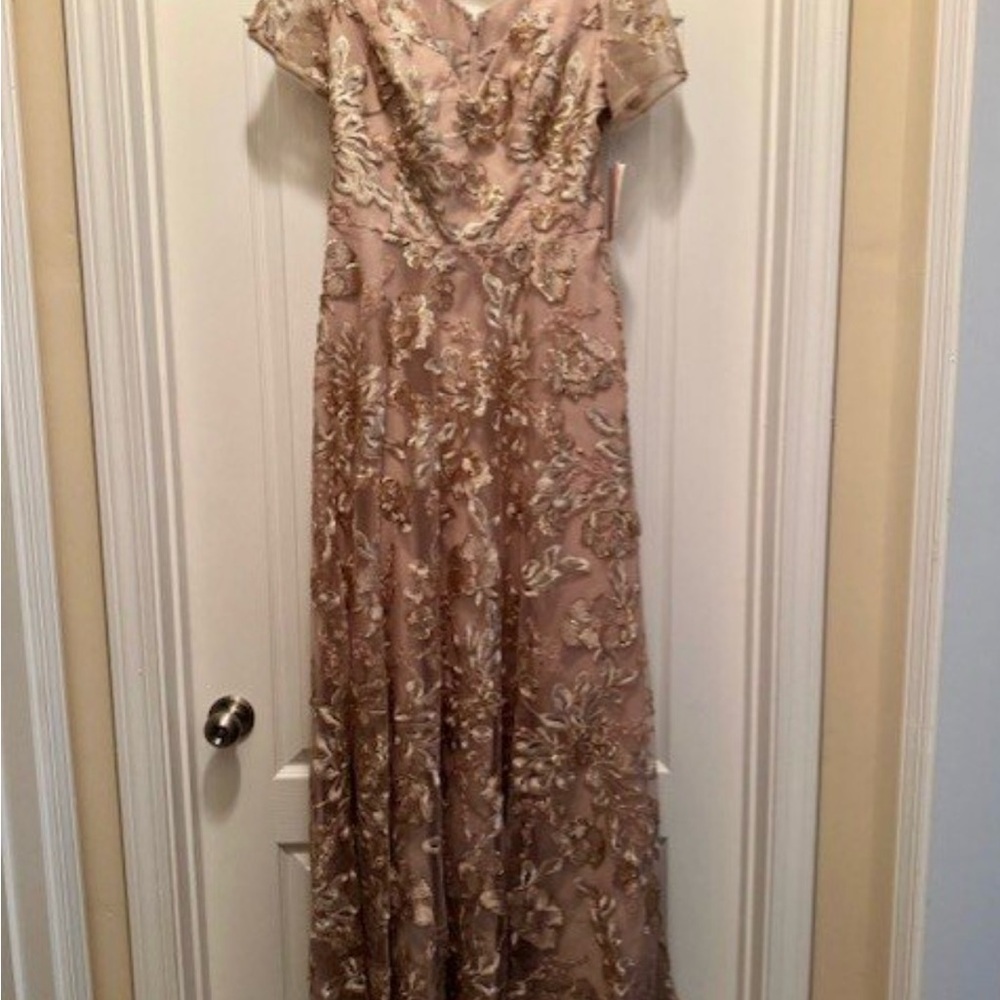 Oleg Cassini Blush and Gold Embroidered Maxi Dress